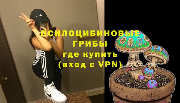 кокс Нея