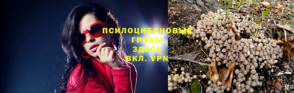 хмурый Нефтекумск