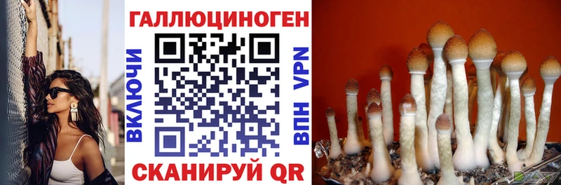 Псилоцибиновые грибы прущие грибы  MEGA ссылка  Шилка  наркошоп 